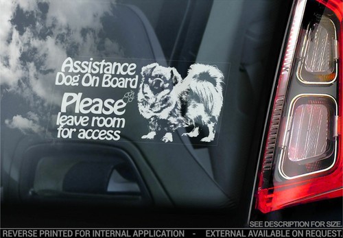 Assistance dog car - assistance,