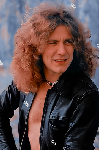 Robert plant led zeppelin - plant,