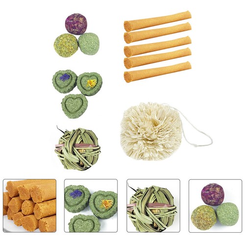 13pcs interesting chewing toys - interesting,