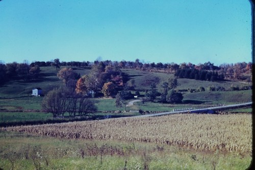 Red border slide - red, autumn