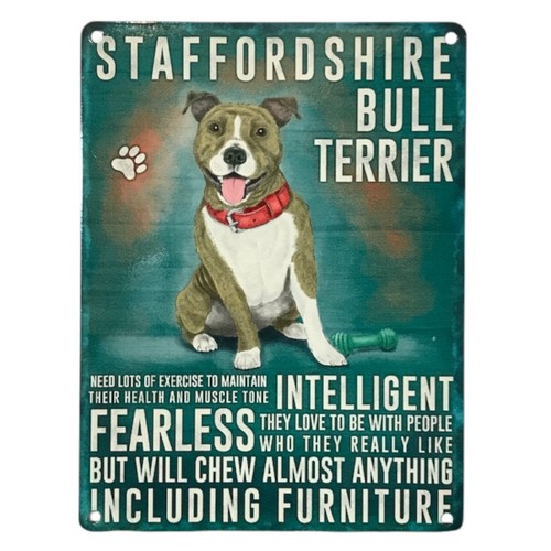 Staffordshire bull terrier - bull,