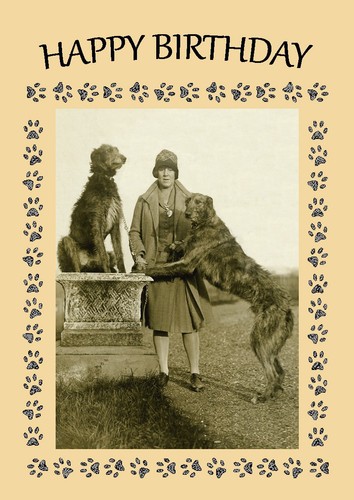 Deerhound dog birthday card - dog,