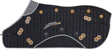 Lemieux conductive magno - conductive,