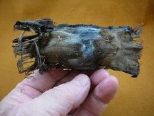 (s800-202) MELBOURNE SKATE egg