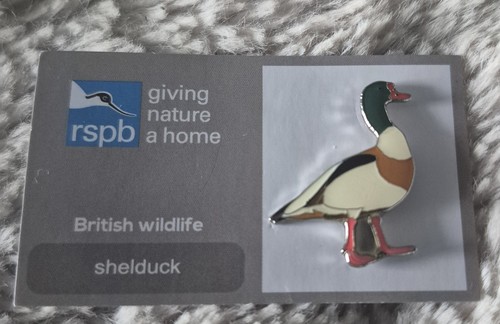 Rspb bird pin - pin,