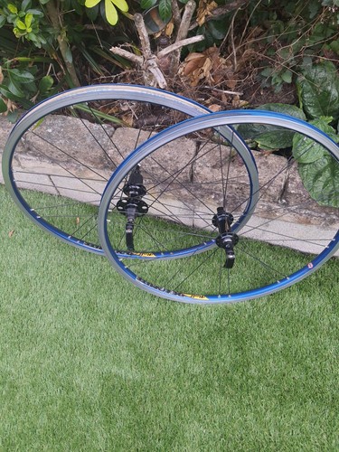 Vintage rolf dolomite rim - dolomite,
