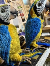 FurReal Friend Squawkers McCaw