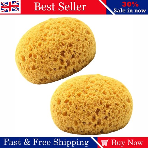 2pcs bath sponge natural - sponge,, sea