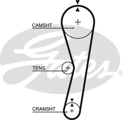 Genuine gates powergrip timing - gates,