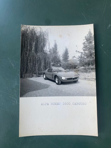 Alfa romeo 1600 - alfa, kangaroo