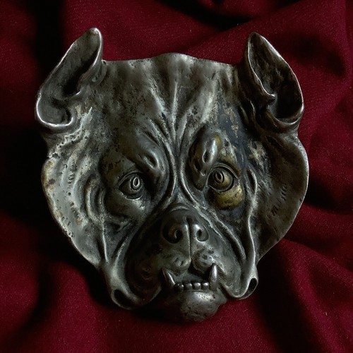 Boxer pitbull pedigree beast - boxer,