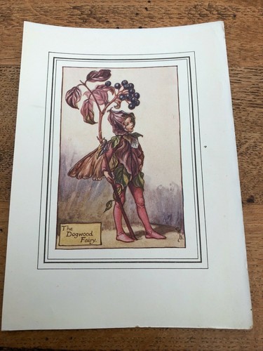 Early 1900s colour - early, from