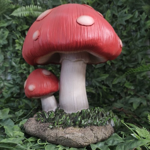 Vivid arts small - arts, toadstool