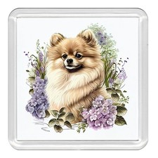 POMERANIAN Dog Acrylic Coaster