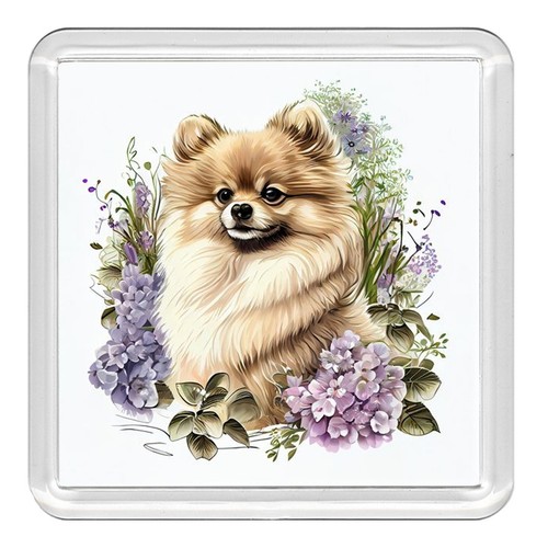 Pomeranian dog acrylic coaster - dog,