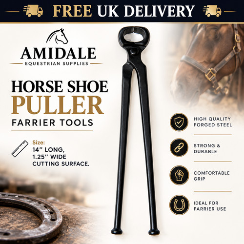 Horse shoe pullers farrier - horse,