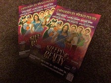 PANTOMIME FLYERS 2025/26 -