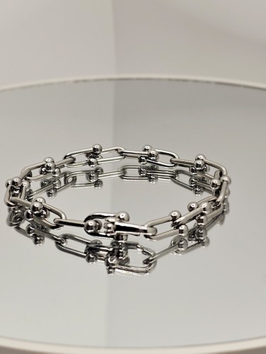 Silver horseshoe chain - silver,