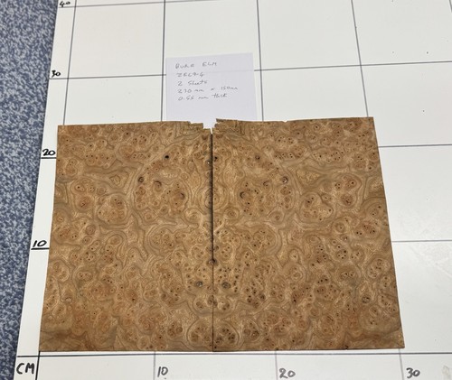 Burr elm real - real, wood