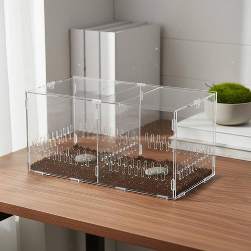 Transparent breeding box - breeding,
