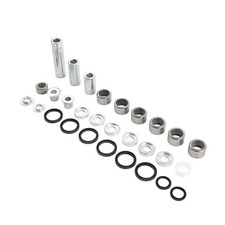 Swing Arm Linkage Bearings
