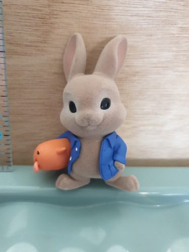 Peter rabbit vegetable blind - peter,