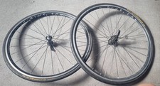Plus son 700c wheelset - plus,
