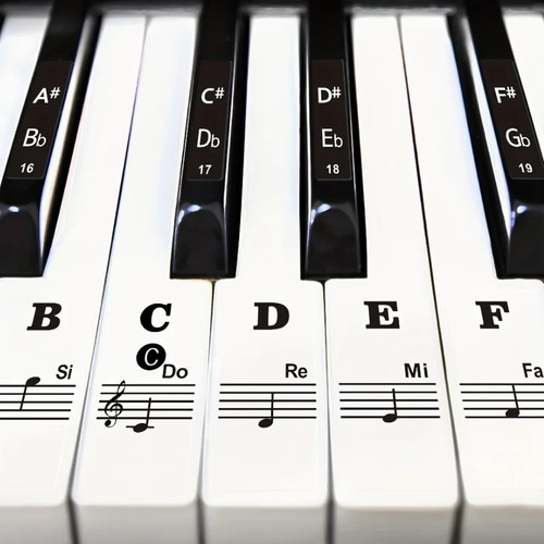 Large removable piano keyboard - large,