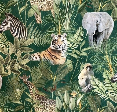 Safari print tiger - safari,