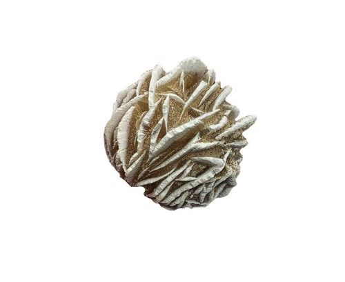 Desert rose mini 20 pack - desert,