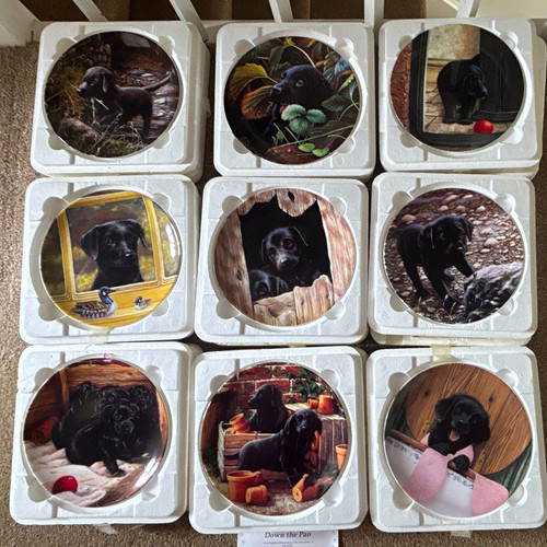 Wedgwood playful puppies set - playful,