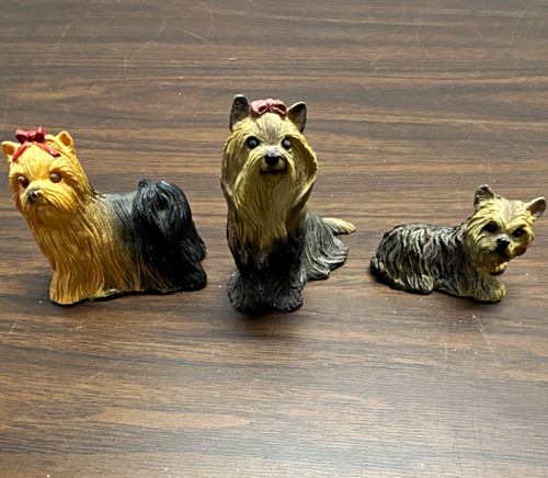 Yorkshire terrier dog - terrier,
