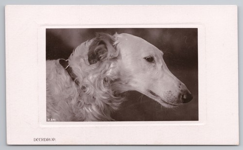 Postcard antique russian - antique,