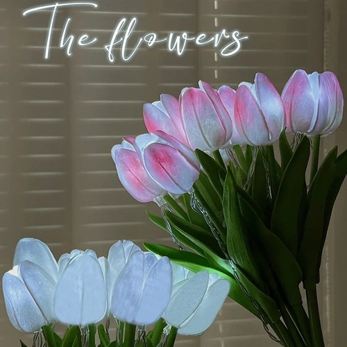 10x led tulip - 10x,