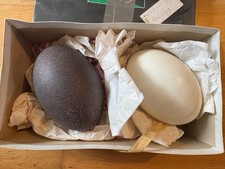 2 large vintage Egg Blown Clean Craft Decor Ornament Kids Activity Shell 