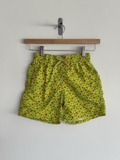 Vilebrequin Turtle Swimming