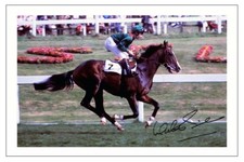 WALTER SWINBURN SIGNED PHOTO PRINT AUTOGRAPH SHERGAR 1981 DERBY HORSE RACING