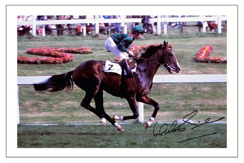 Walter swinburn signed photo - walter,