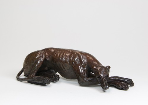 Greyhound lurcher resting - greyhound,