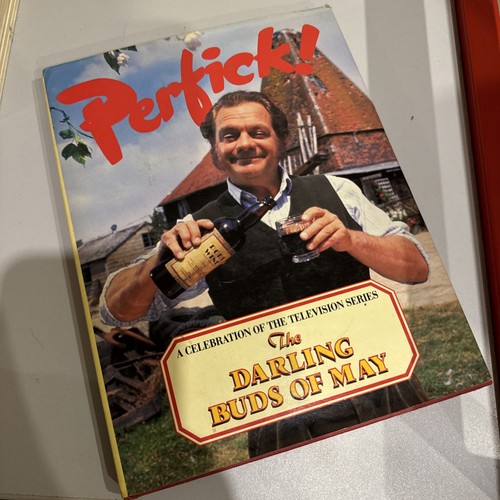 Perfick the darling - "perfick", of