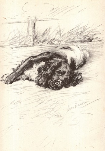 Vintage lucy dawson springer - lucy,
