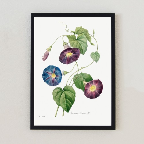 Botanical vintage illustration - botanical,