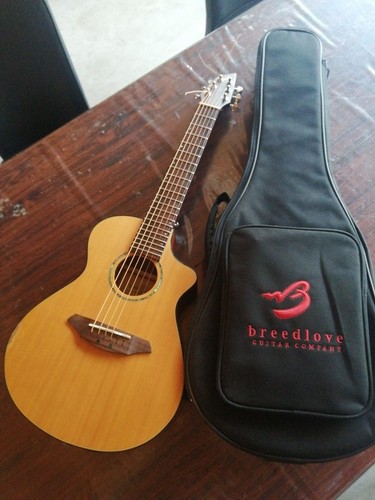Breedlove mini guitar passport - mini,