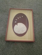Vintage Sand Dollar Shells
