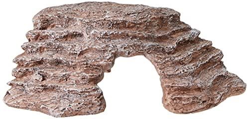 Komodo reptile basking - komodo,