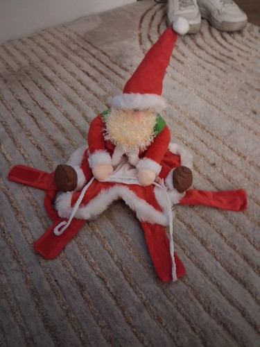 Dog outfit santa small - dog,