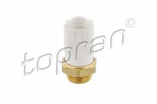 TEMPERATURE SWITCH RADIATOR