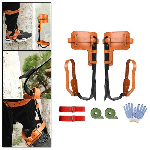 Tree climbing spike outdoor - tree,