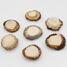 Roses 7 Pieces Rose Deer