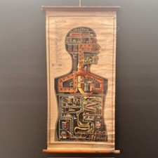 Fritz Kahn 1942 ‘The Human Factory’ - Canadian English ed. Anatomical Wall Chart